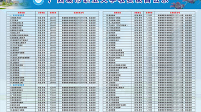 2024年滚球,滚球(中国)收费项目公示